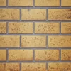 Sandstone Brick Panel For GVF42 Fireplace - Napoleon 2 Sandstone Brick Panel For GVF42 Fireplace - Napoleon -AMS FIREPLACE Sales 1640084767.1280.1280 19361.1640258338.1280.1280 51846.1640345397