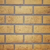 Sandstone Brick Panel For Riverside Fireplace - Napoleon 1 Sandstone Brick Panel For Riverside Fireplace - Napoleon -AMS FIREPLACE Sales 1641895889.1280.1280 68745.1642065731