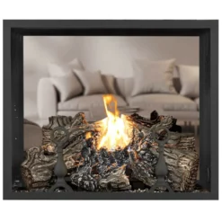 High Definition 81 See Through Gas Fireplace With Log Set Burner Assembly - Napoleon -AMS FIREPLACE Sales 5 21983.1639049991.1280.1280 53550.1639053534