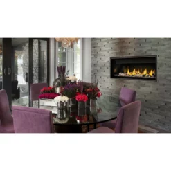 Ascent 46 Linear Gas Fireplace (Electronic Ignition) - Napoleon