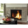DRC6300 Direct Vent Gas Fireplace | Superior Fireplaces 2 DRC6300 Direct Vent Gas Fireplace | Superior Fireplaces -AMS FIREPLACE Sales Astria dvfp DRC3000B 1136x852 2 80464.1662569832.1280.1280 61140.1662578058.1280.1280 44453.1685137432