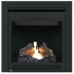Ascent 30 Electronic Ignition Gas Fireplace - Napoleon 8 Ascent 30 Electronic Ignition Gas Fireplace - Napoleon -AMS FIREPLACE Sales B30 3 21700.1639571360