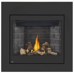 Ascent 36 Fireplace - Napoleon 10 Ascent 36 Fireplace - Napoleon -AMS FIREPLACE Sales B36 4 19576.1640013831
