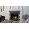 Ascent 42 Fireplace - Napoleon
