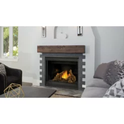 Ascent 42 Fireplace - Napoleon