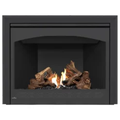 Ascent 42 Fireplace - Napoleon 10 Ascent 42 Fireplace - Napoleon -AMS FIREPLACE Sales B42 4 39651.1640019514
