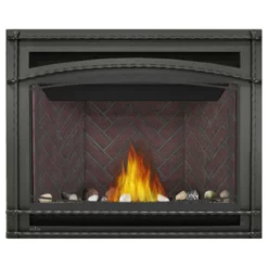 Ascent 42 Fireplace - Napoleon 11 Ascent 42 Fireplace - Napoleon -AMS FIREPLACE Sales B42 5 31632.1640019514