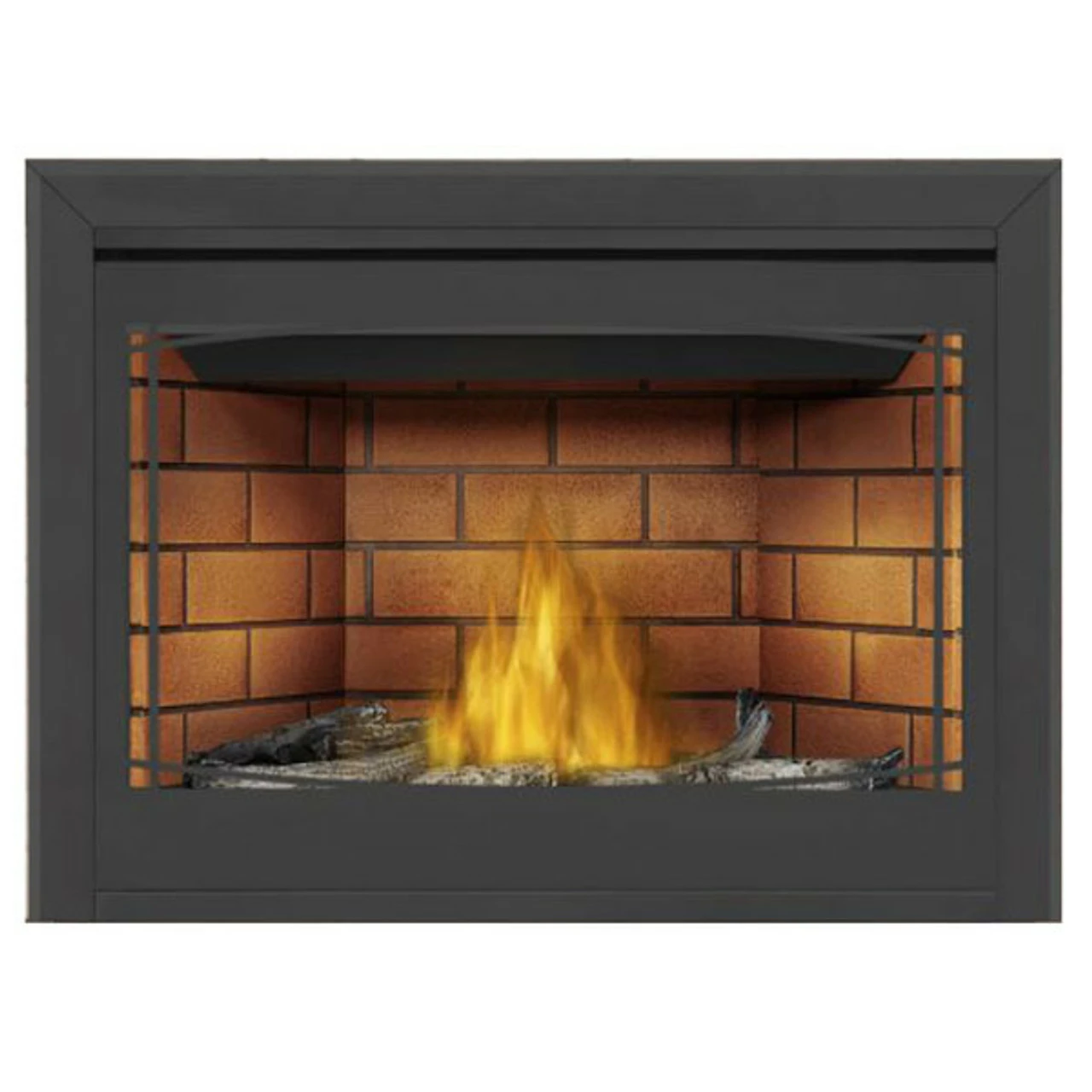 Ascent 46 Millivolt Ignition Gas Fireplace - Napoleon 5 Ascent 46 Millivolt Ignition Gas Fireplace - Napoleon - Image 3