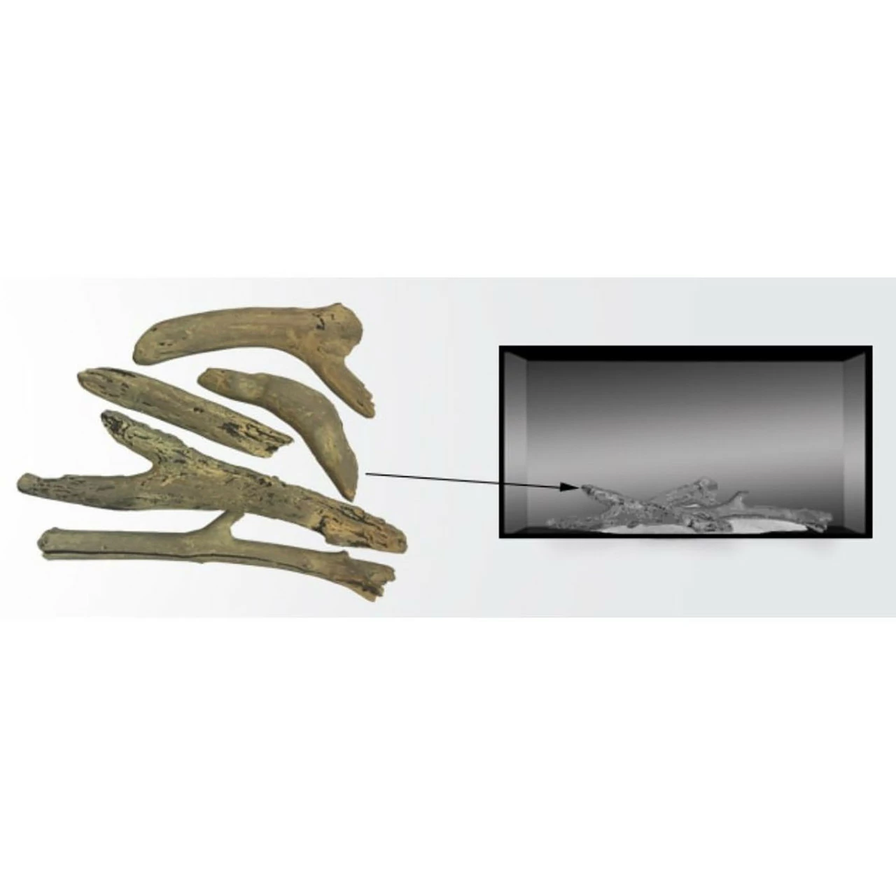 Driftwood Log Set For Jade 32" | Majestic 4 Driftwood Log Set For Jade 32" | Majestic - Image 2