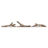 Driftwood Log Set With Rocks For Entice 36 & 42 Fireplaces - Napoleon 1 Driftwood Log Set With Rocks For Entice 36 & 42 Fireplaces - Napoleon -AMS FIREPLACE Sales Entice 36 Media Driftwood PARTS 98999.1642592719