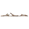Driftwood Log Set With Rocks For Entice 50 Fireplaces - Napoleon 1 Driftwood Log Set With Rocks For Entice 50 Fireplaces - Napoleon -AMS FIREPLACE Sales Entice 36 Media Driftwood PARTS 98999.1642592719.1280.1280 16777.1642593028
