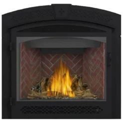 Ascent X 36 Electronic Ignition Fireplace - Napoleon 9 Ascent X 36 Electronic Ignition Fireplace - Napoleon -AMS FIREPLACE Sales GX36 1 36374.1639495906