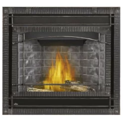 Ascent X 36 Millivolt Ignition Fireplace - Napoleon 10 Ascent X 36 Millivolt Ignition Fireplace - Napoleon -AMS FIREPLACE Sales GX36 2 90678.1639495906.1280.1280 90659.1639496179