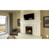 Ascent X 36 Electronic Ignition Fireplace - Napoleon 1 Ascent X 36 Electronic Ignition Fireplace - Napoleon -AMS FIREPLACE Sales Gallery Ascent X GX36 1600px 71289.1639495907