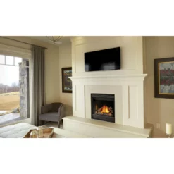 Ascent X 36 Millivolt Ignition Fireplace - Napoleon