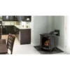 Bayfield Direct Vent Gas Stove - Napoleon 2 Bayfield Direct Vent Gas Stove - Napoleon -AMS FIREPLACE Sales Gallery Bayfield GDS25N 1 1600px 90595.1641980204