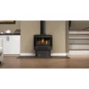 Haliburton Direct Vent Gas Stove (Millivolt Ignition) - Napoleon 2 Haliburton Direct Vent Gas Stove (Millivolt Ignition) - Napoleon -AMS FIREPLACE Sales Gallery Haliburton GDS28 1NSB 2 1600px 23691.1641820864