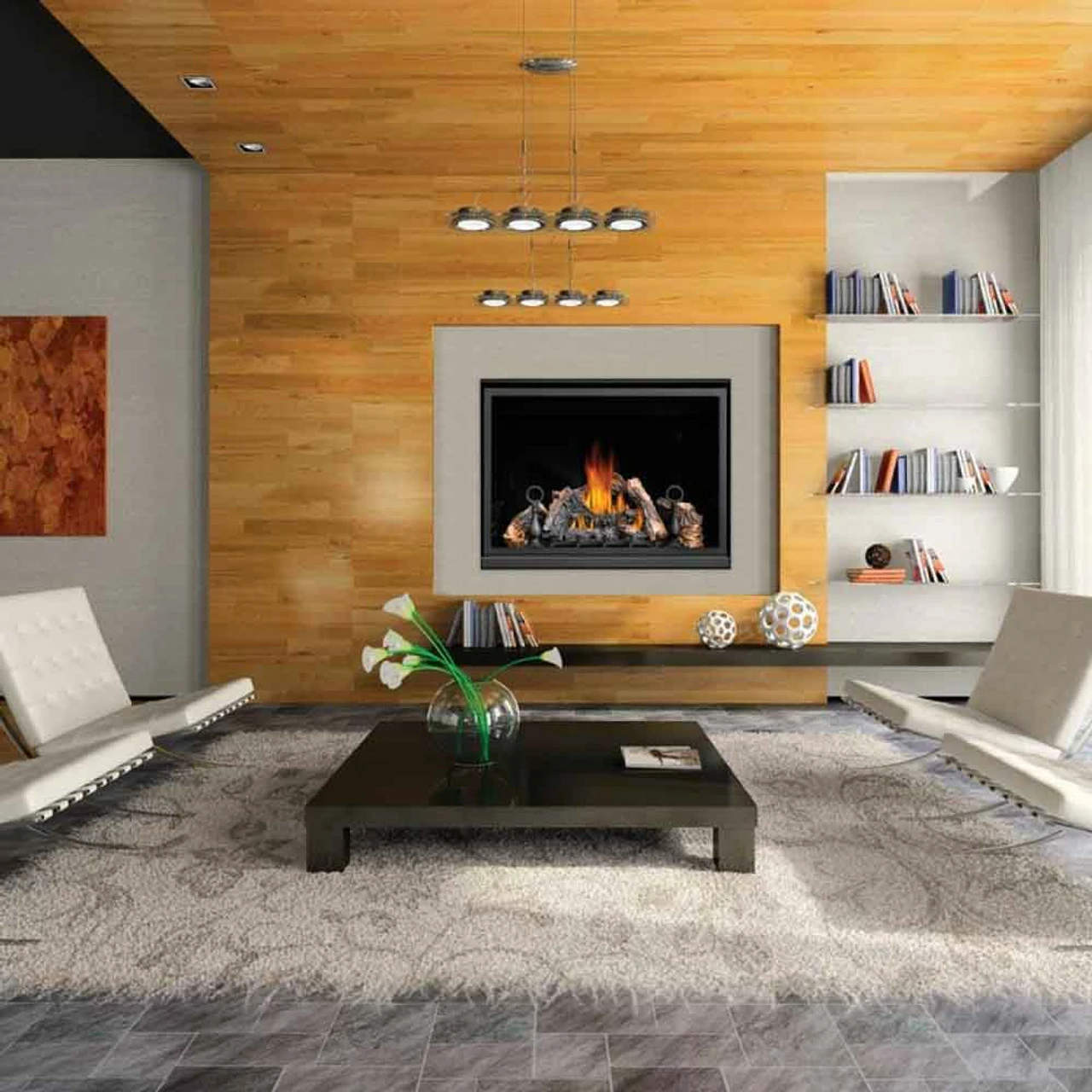 Napoleon HD46NTSB Clean Face High Definition Direct Vent Gas Fireplace 4 Napoleon HD46NTSB Clean Face High Definition Direct Vent Gas Fireplace - Image 2