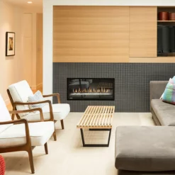 Phenom Single Sided PL42 LP Fireplace - Montigo 7 Phenom Single Sided PL42 LP Fireplace - Montigo -AMS FIREPLACE Sales PL42DF 3 59135.1655993810.1280.1280 91383.1655993896