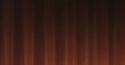 Liner, Ridgeback, Bronze- American Hearth