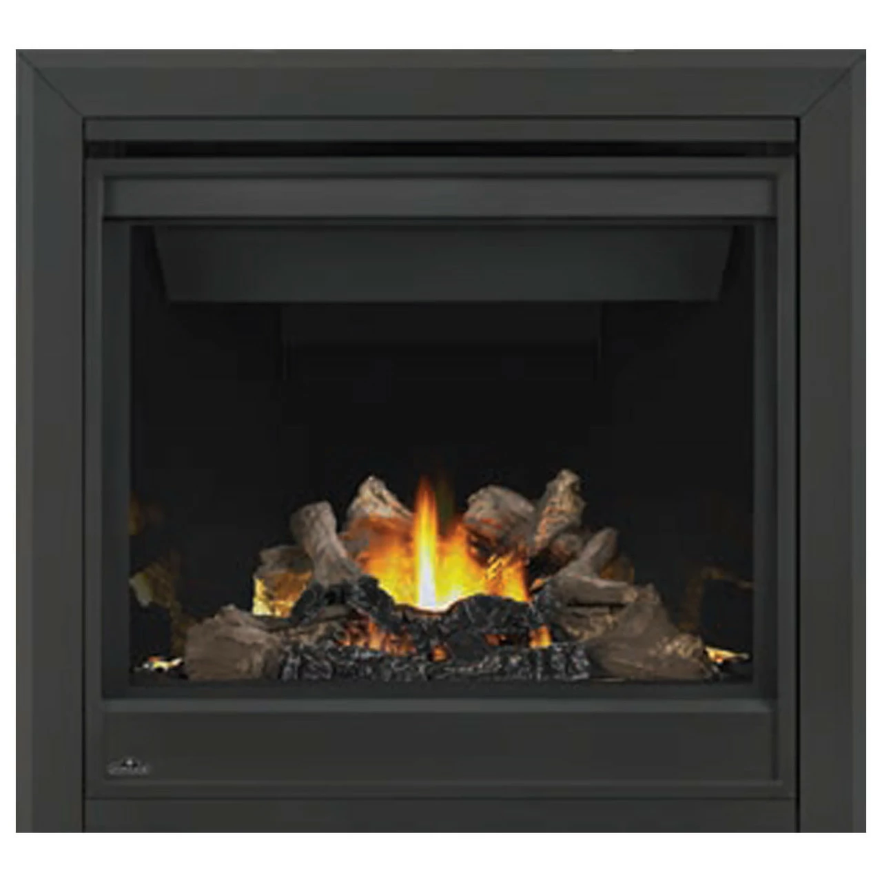 Ascent BX 36 Fireplace - Napoleon 5 Ascent BX 36 Fireplace - Napoleon - Image 3