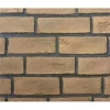 Fortress Traditional Brick Refractory For Fortress 36" | Majestic 1 Fortress Traditional Brick Refractory For Fortress 36" | Majestic -AMS FIREPLACE Sales a 25532.1663830502