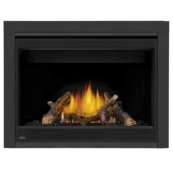 Ascent X 42 Fireplace - Napoleon 7 Ascent X 42 Fireplace - Napoleon -AMS FIREPLACE Sales ascent X GX42 MainPadded 1000px copy 93947.1639483840