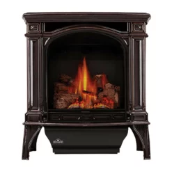 Bayfield Direct Vent Gas Stove - Napoleon 9 Bayfield Direct Vent Gas Stove - Napoleon -AMS FIREPLACE Sales bayfield GDS25NN 1 MainPadded 1000px 20595.1641980204