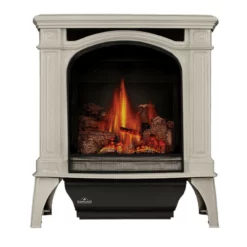 Bayfield Direct Vent Gas Stove - Napoleon 10 Bayfield Direct Vent Gas Stove - Napoleon -AMS FIREPLACE Sales bayfield GDS25NW 1 MainPadded 1000px 12096.1641980204