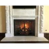 Camellia Rectangular Fireplace Door - Wrought Iron 1 Camellia Rectangular Fireplace Door - Wrought Iron -AMS FIREPLACE Sales camellia 49 fireplace door web5 32908.1655848294