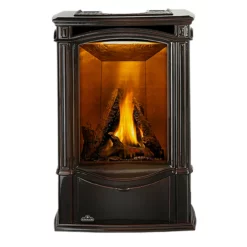 Castlemore Direct Vent Gas Stove - Napoleon 8 Castlemore Direct Vent Gas Stove - Napoleon -AMS FIREPLACE Sales castlemore GDS26NN 1 MainPadded 1000px 20495.1641902731