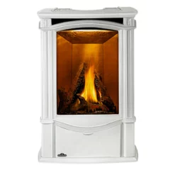 Castlemore Direct Vent Gas Stove - Napoleon 9 Castlemore Direct Vent Gas Stove - Napoleon -AMS FIREPLACE Sales castlemore GDS26NW 1 MainPadded 1000px 42517.1641902731
